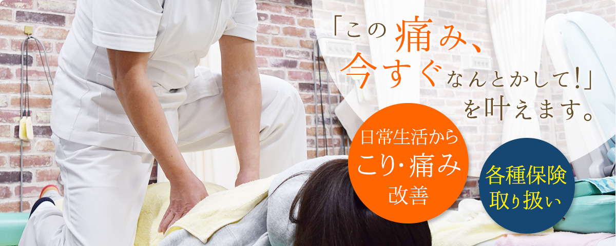 headermain_11 headermain_11